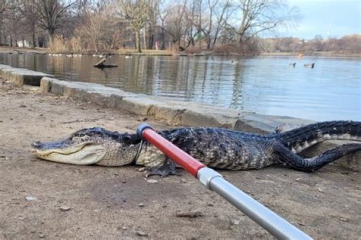 DMX Went To Hell And Back On "Stop Being Greedy"