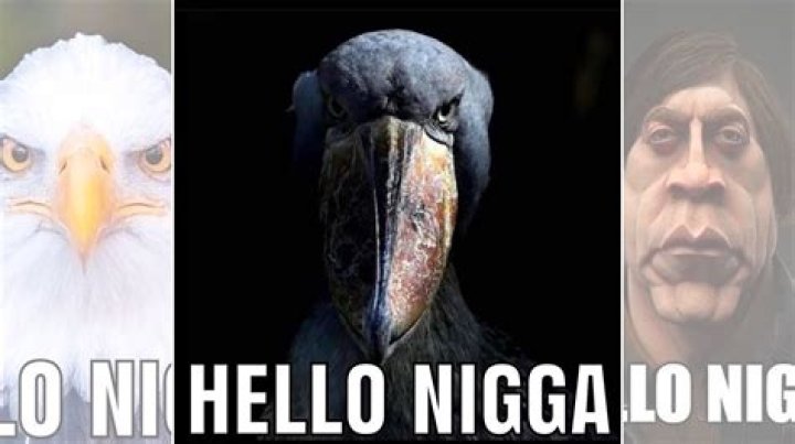 Tory Lanez Thanks Celina Powell For "Being A Real N*gga" On Phone Call: Report