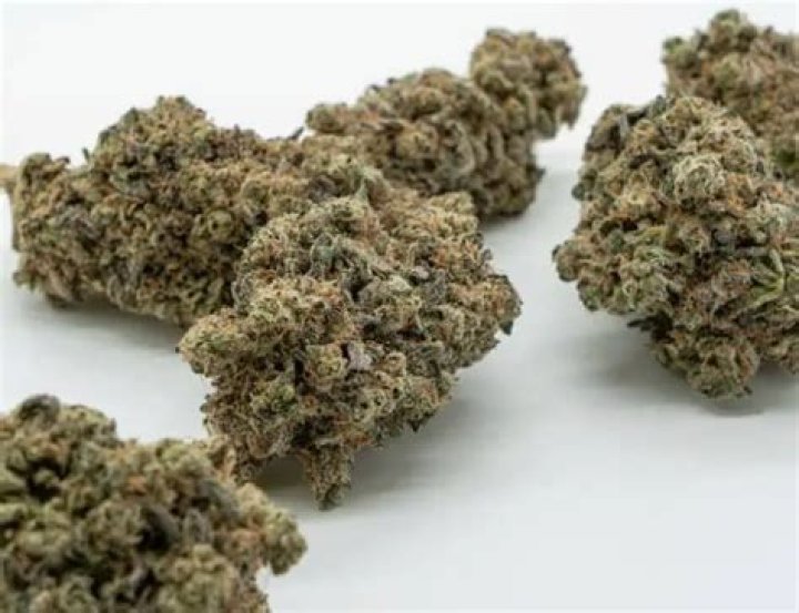 BlueBucksClan Plug Their Own Weed Strain On "How To Roll"