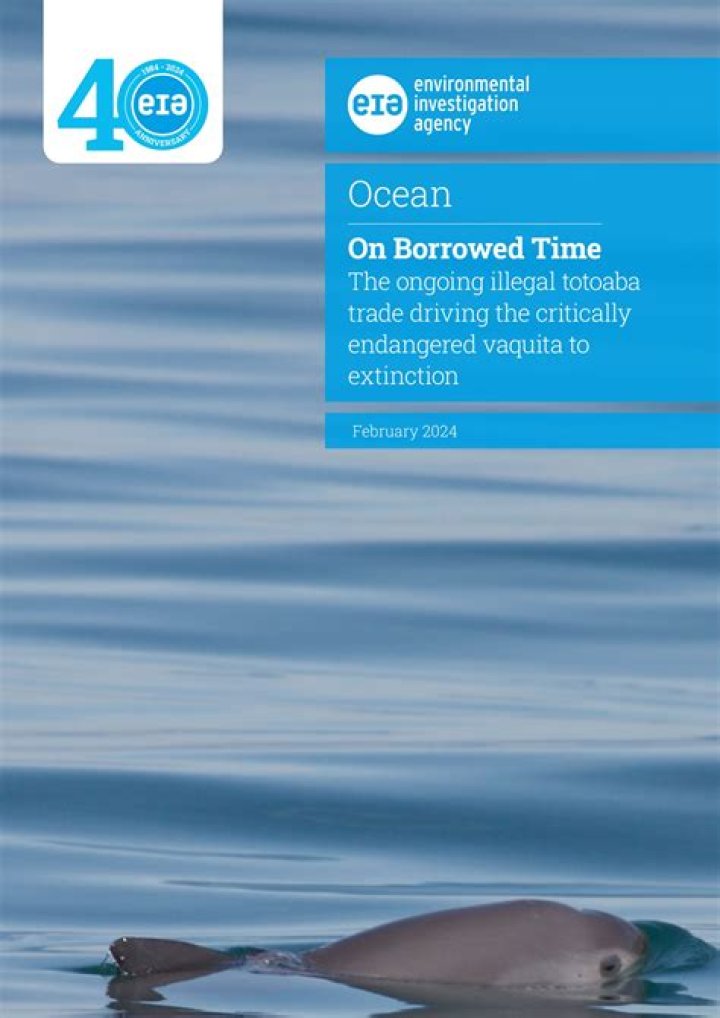 Fetty Wap Speaks Out On Prison Sentence: "If It Ain't Life, It Ain't Forever"