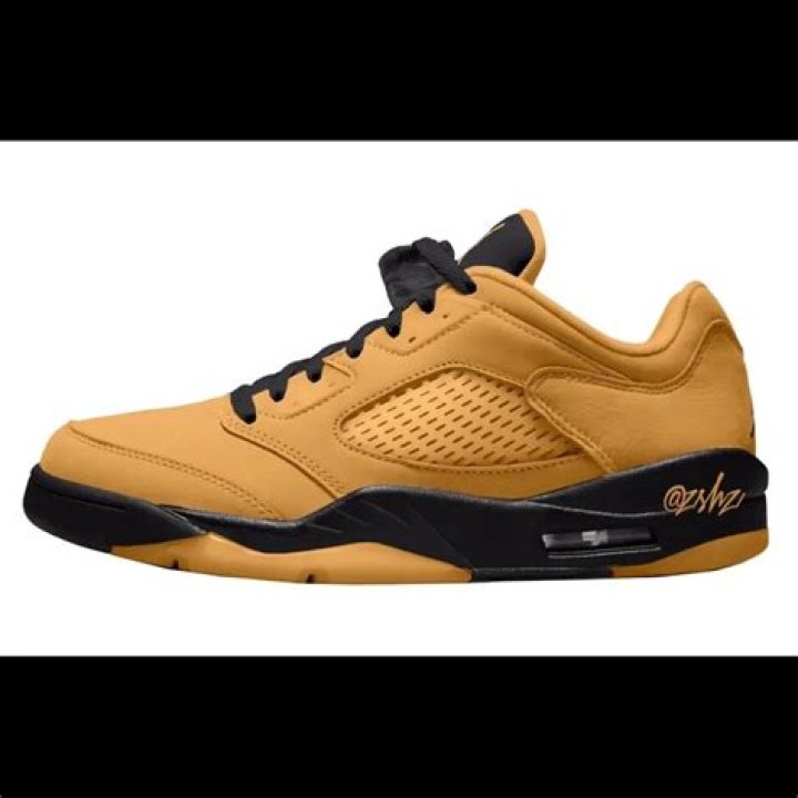 Air Jordan 5 Low WMNS "Chutney" First Look