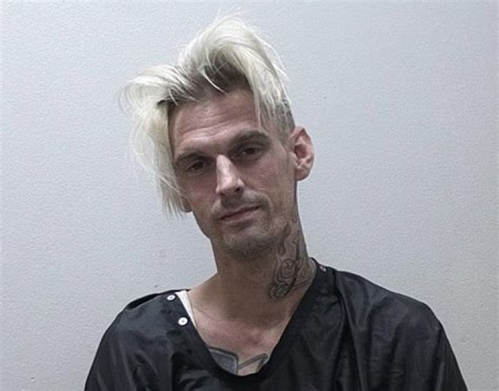 Aaron Carter Speaks out After His Arrest, Says He Has a Medical License to Carry Marijuana
