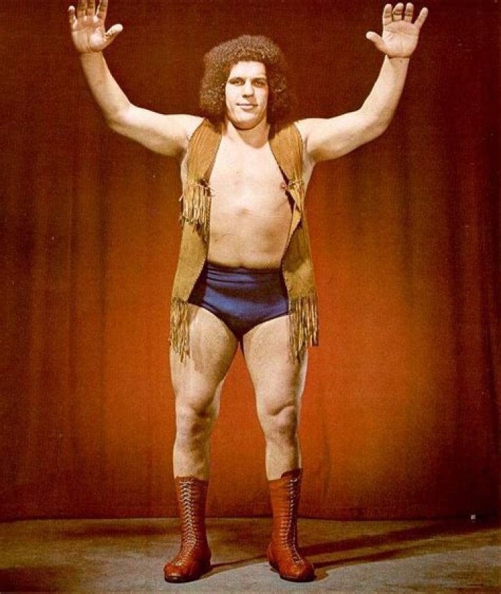 21 André The Giant Photos That Make The World Look Unbelievably Tiny