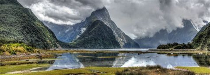 West Antarctica Was A Moist Rainforest 90 Million Years Ago, Study Says