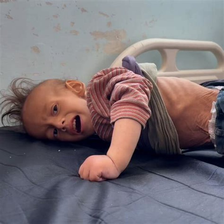 ¿Los niños menores de 2 años son gratis en OdySea? – Celebrity.fm