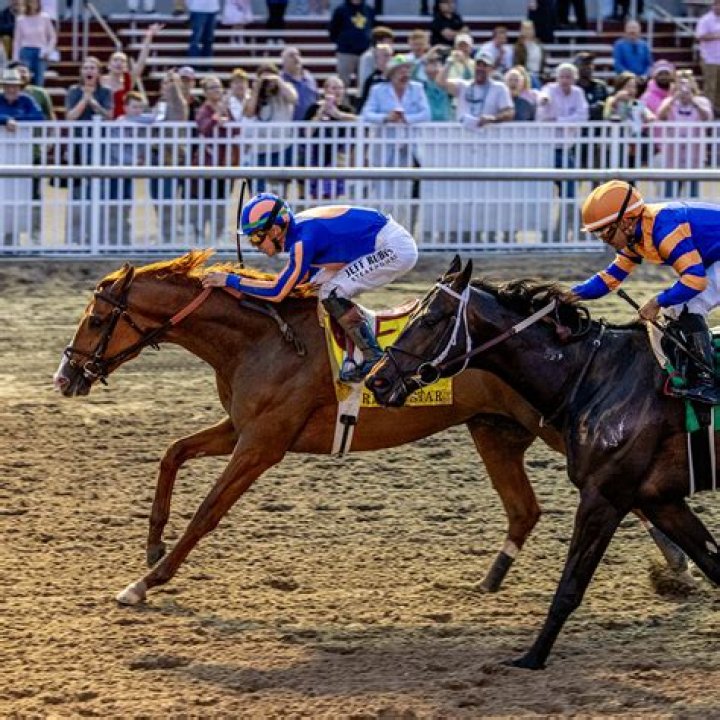 Bob Baffert (Equestrian) - Age, Birthday, Bio, Facts, Family, Net Worth, Height & More