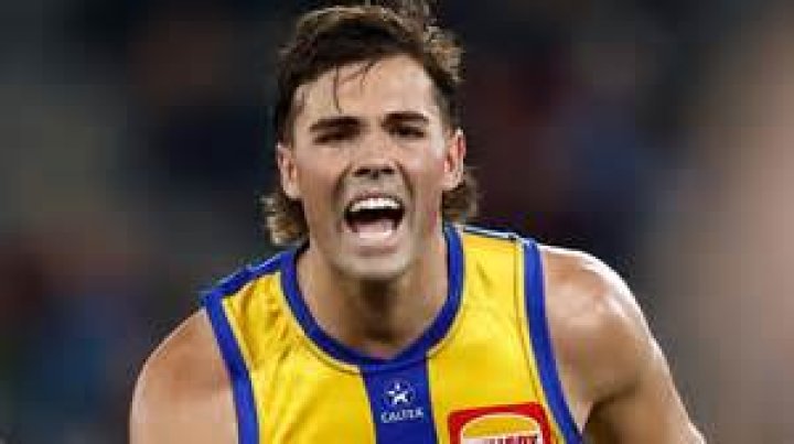 
Campbell Chesser Age, Birthday, Wikipedia, Who, Nationality, Biography 