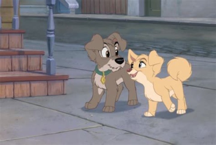 Danny Troob Biography, Age, Height, Wife, Net Worth, Family