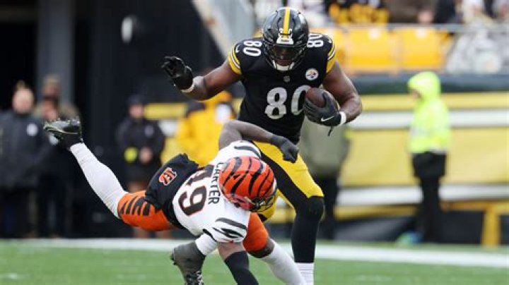 Darnell Williams Height, Weight, Net Worth, Age, Birthday, Wikipedia, Who, Nationality, Biography