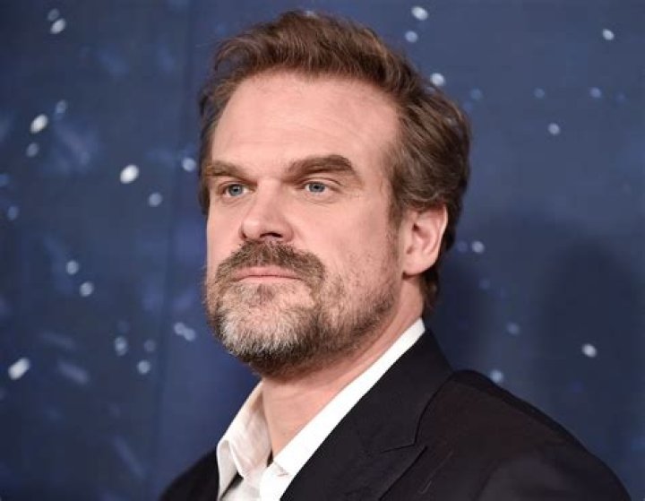 Astrology Birth Chart of David Harbour (Movie Actor) 2024