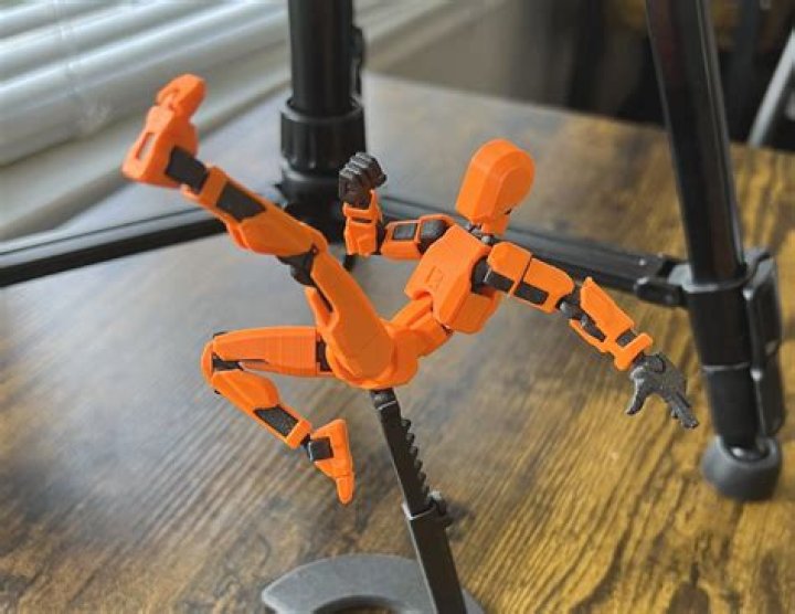 Doc Dami (TikTok Star) - Age, Birthday, Bio, Facts, Family, Net Worth, Height & More