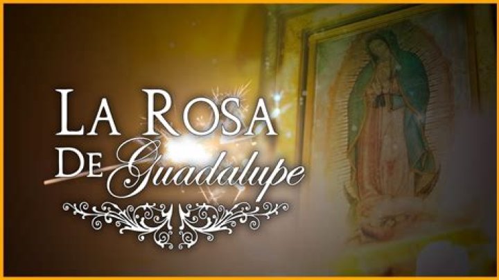 Does Hulu have La Rosa de Guadalupe? – Celebrity.fm – #1 Official Stars, Business & People Network, Wiki, Success story, Biography & Quotes