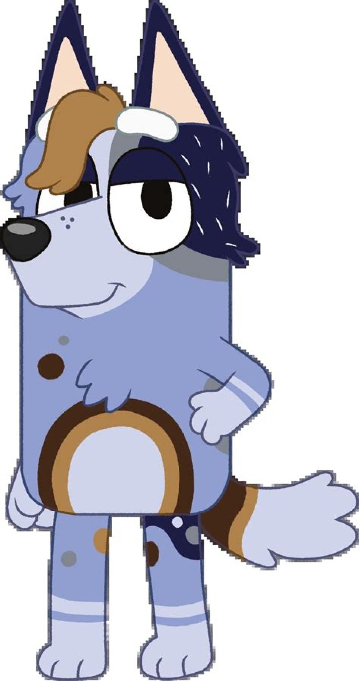 Does Socks from Bluey have autism? – Celebrity.fm – #1 Official Stars, Business & People Network, Wiki, Success story, Biography & Quotes