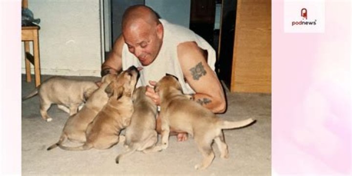 Dominick Montiglio Biography, Age, Height, Wife, Net Worth, Family