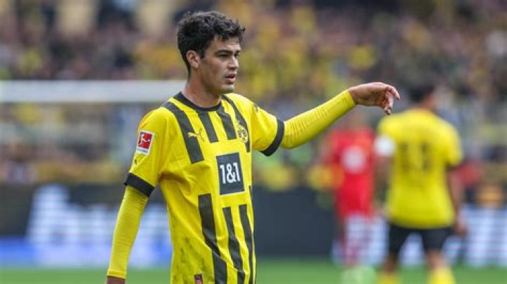 Giovanni Reyna (Soccer Player) - Age, Birthday, Bio, Facts, Family, Net Worth, Height & More