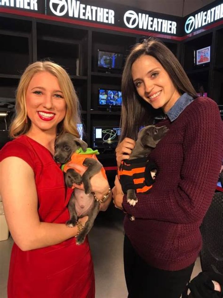 Haley Wilson (YouNow Star) - Age, Birthday, Bio, Facts, Family, Net Worth, Height & More