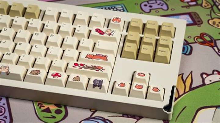 Hipyo Tech (YouTube Star) - Age, Birthday, Bio, Facts, Family, Net Worth, Height & More