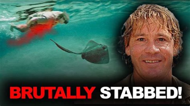 How big was the stingray that killed Steve? – Celebrity.fm – #1 Official Stars, Business & People Network, Wiki, Success story, Biography & Quotes