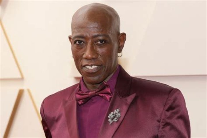How much is Wesley Snipes worth in 2020? – Celebrity.fm – #1 Official Stars, Business & People Network, Wiki, Success story, Biography & Quotes