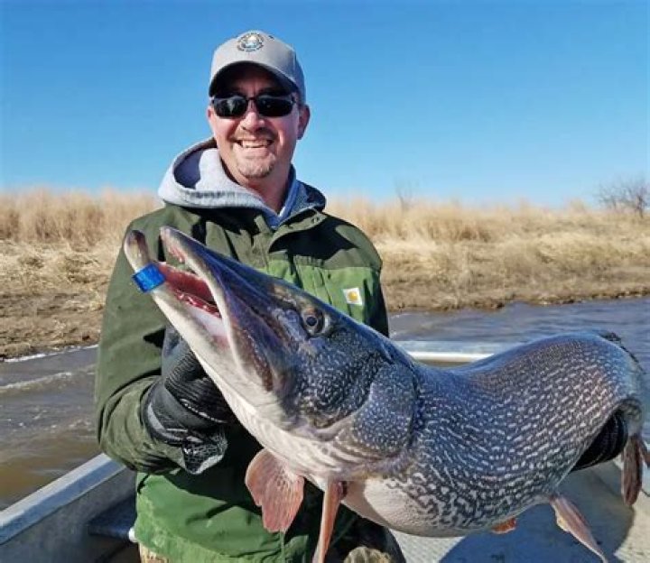 How old is a 40 inch northern pike? – Celebrity.fm – #1 Official Stars, Business & People Network, Wiki, Success story, Biography & Quotes