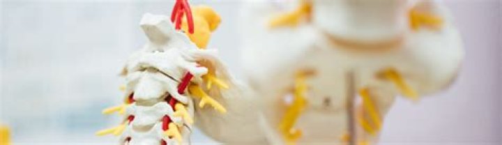 Is Dr Sten Ekberg a chiropractor? – Celebrity.fm – #1 Official Stars, Business & People Network, Wiki, Success story, Biography & Quotes