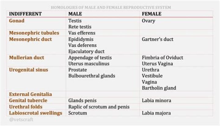 Is Drew Grant male or female? – Celebrity.fm – #1 Official Stars, Business & People Network, Wiki, Success story, Biography & Quotes