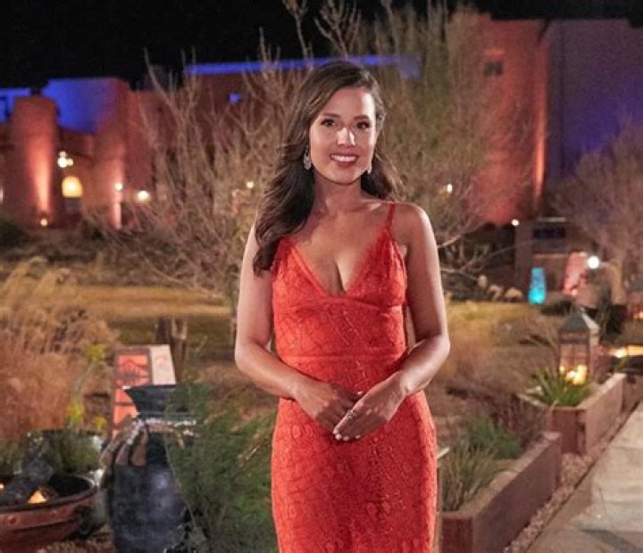 Everything You Need to Know About Season 17 Bachelorette Katie Thurston — Job, Franchise History and More