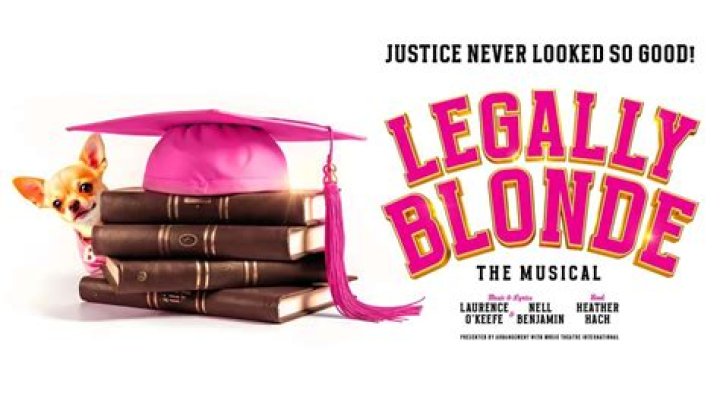 Legally Blonde (2001 film) - Members profile, Facts, Wiki, Achievements, Net worth 2024 (updated)