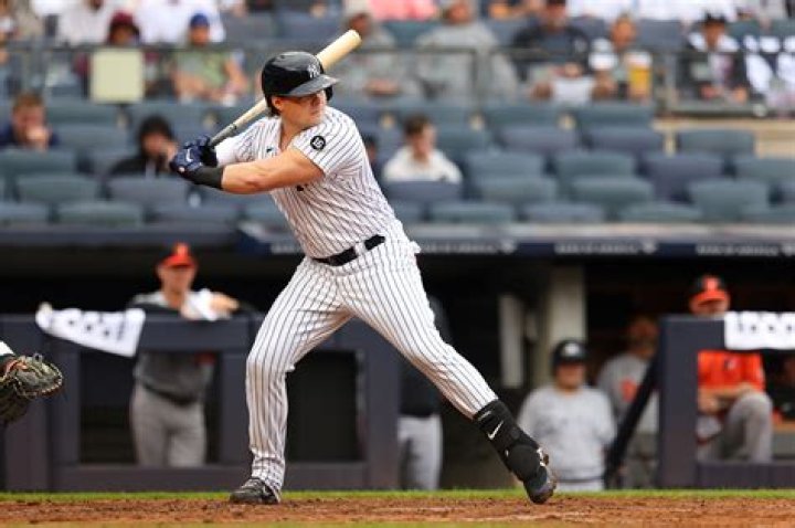 Luke Voit (Baseball Player) - Age, Birthday, Bio, Facts, Family, Net Worth, Height & More