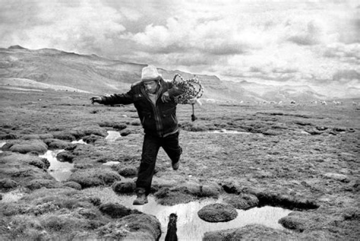 Manuello Paganelli Biography, Age, Height, Wife, Net Worth, Family