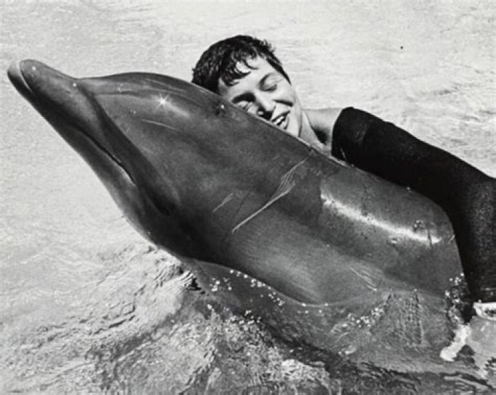 Margaret Howe Lovatt And Her Sexual Encounters With A Dolphin