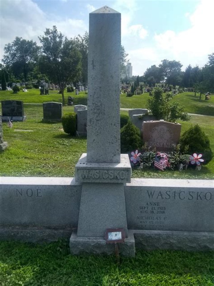 Nick Wasicsko Biography, Age, Height, Wife, Net Worth, Family