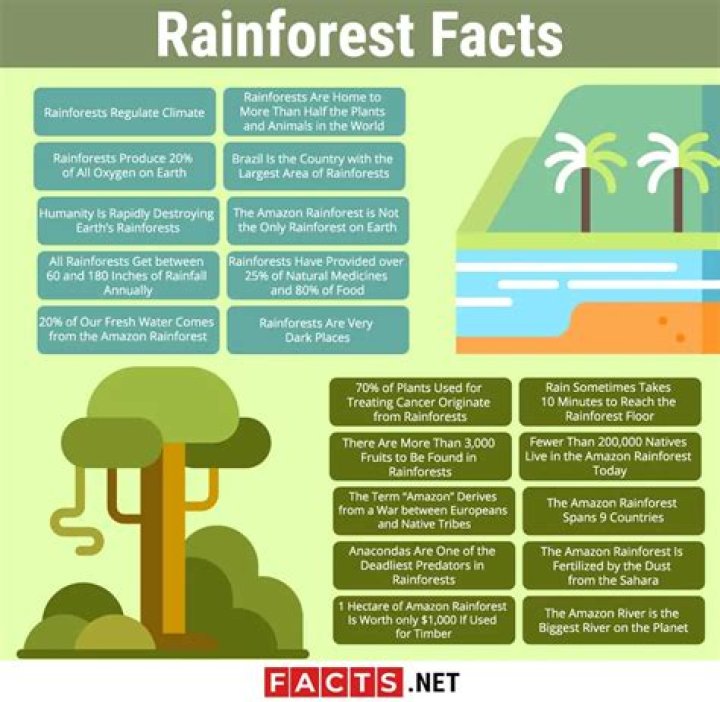 25 Interesting Rainforest Facts That You've Never Heard Before