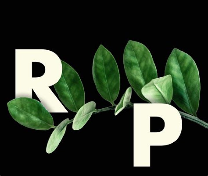 Rebecca Pyle (TikTok Star) - Age, Birthday, Bio, Facts, Family, Net Worth, Height & More