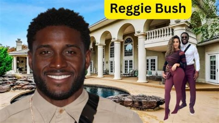 Reggie Bush Height, Weight, Net Worth, Age, Birthday, Wikipedia, Who, Nationality, Biography