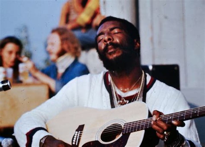 Richie Havens (Folk Singer) - Age, Birthday, Bio, Facts, Family, Net Worth, Height & More