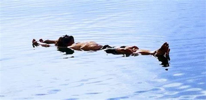 Rob Long Biography, Age, Height, Wife, Net Worth, Family