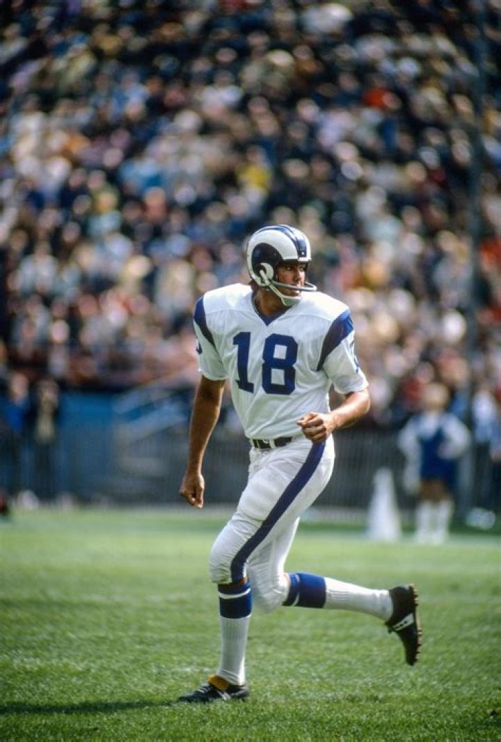 Roman Gabriel (Football Player) - Age, Birthday, Bio, Facts, Family, Net Worth, Height & More