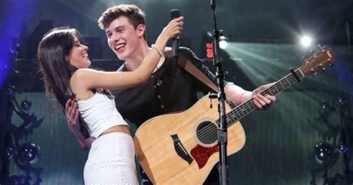 Shawn Mendes and Camila Cabello ‘Looked Like a Couple in Love’ During Romantic Dinner Date