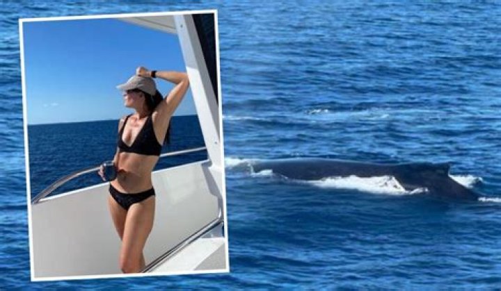 Vanessa de la Torre Biography, Age, Height, Husband, Net Worth, Family