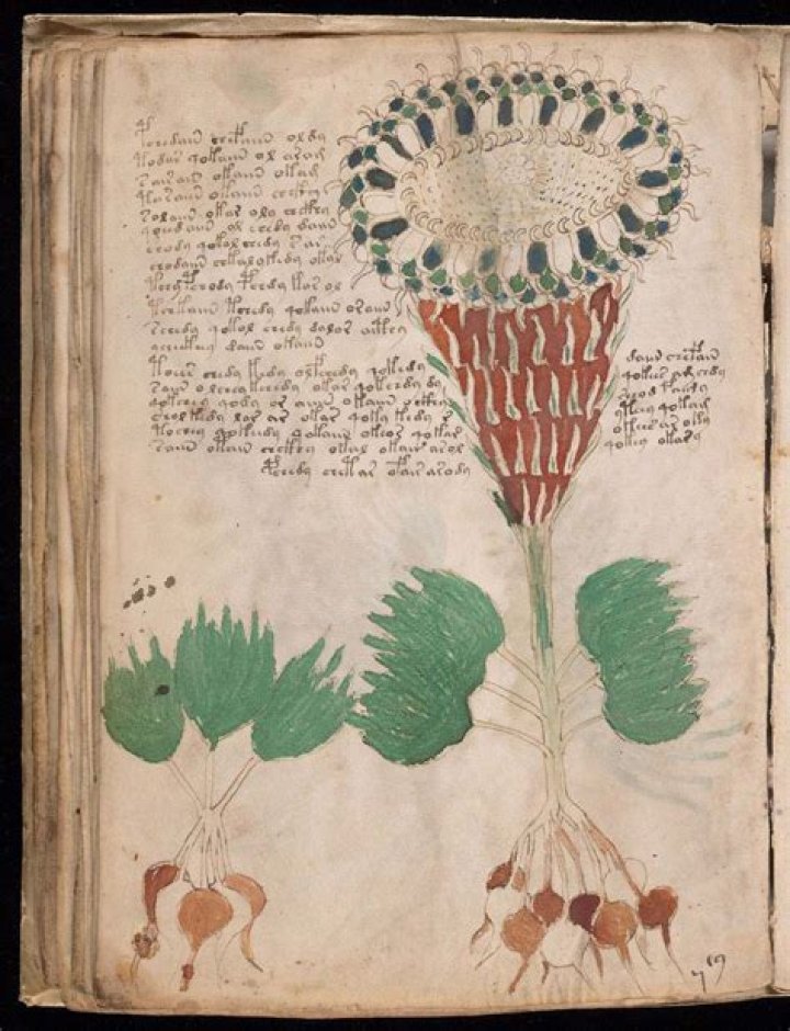 Inside The Voynich Manuscript, The Indecipherable Medieval Codex