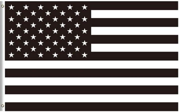 What does a black and white American flag with a purple stripe mean?