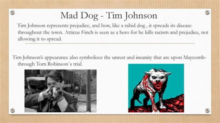 What does Tim Johnson The Mad dog symbolize quotes?