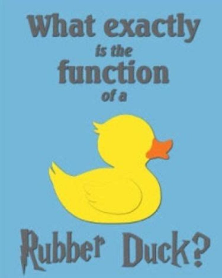 What exactly is the function of a rubber duck Harry’s response?