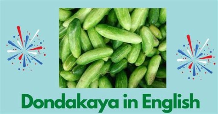 منظور از Dondakaya در انگلیسی چیست؟