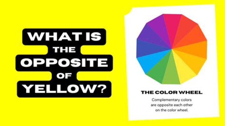What is the opposite of yellow? – Celebrity.fm – #1 Official Stars, Business & People Network, Wiki, Success story, Biography & Quotes
