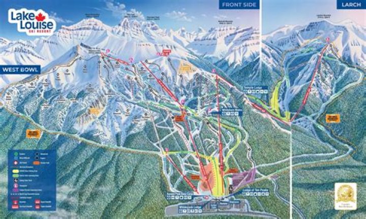 ¿Cuál es el verdadero nombre de Tina Louise? – Celebrity.fm