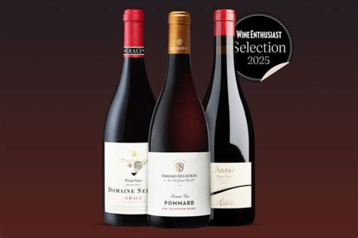 What kind of wine is Belle Radici? – Celebrity.fm – #1 Official Stars, Business & People Network, Wiki, Success story, Biography & Quotes