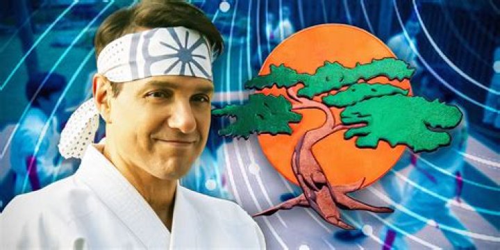 ¿Dónde se encuentra Miyagi dojo? – Celebrity.fm