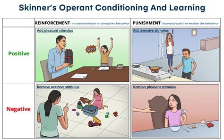 
Who are Brian Skinners Parents? Brian Skinner Biography, Parents Name, Nationality and More 